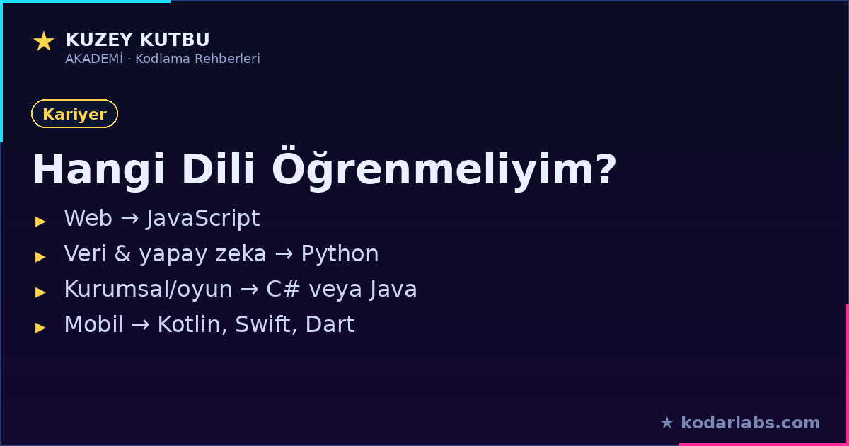 Hangi programlama dilini öğrenmeliyim infografiği: web, veri, kurumsal ve mobil için dil önerileri