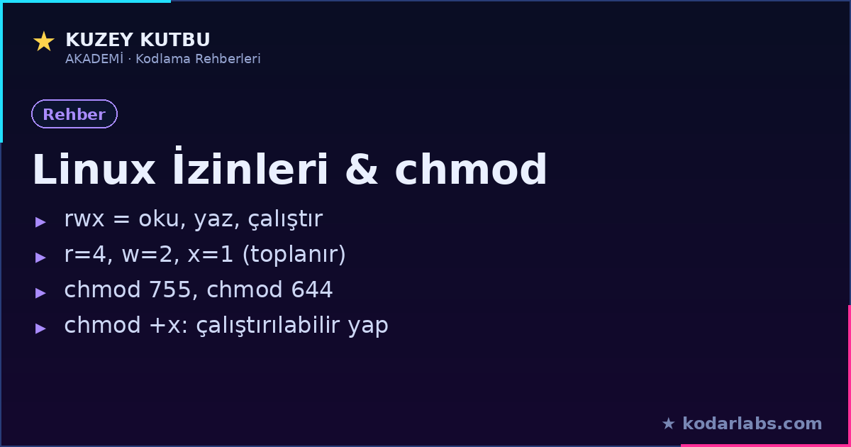 Linux dosya izinleri ve chmod infografiği: rwx ve sayısal izinler